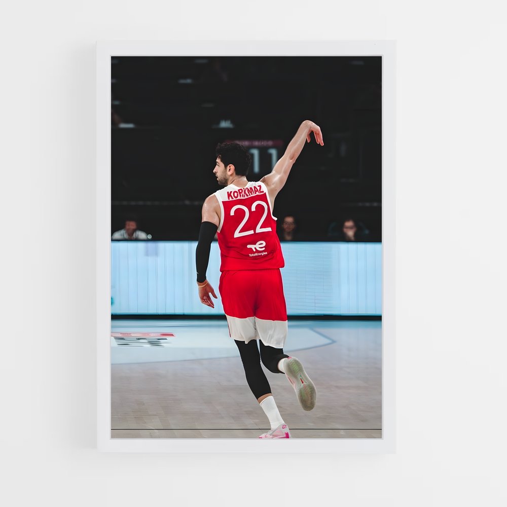 Poster Furkan korkmaz – affiche Basketball (vue 3)